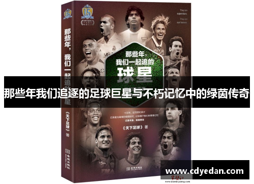 那些年我们追逐的足球巨星与不朽记忆中的绿茵传奇