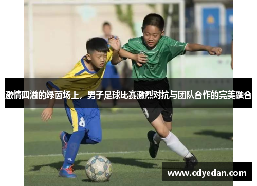 激情四溢的绿茵场上，男子足球比赛激烈对抗与团队合作的完美融合